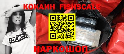 амф Гатчина