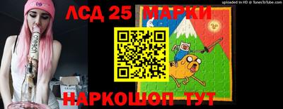 амф Гатчина
