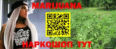 амф Гатчина