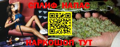амф Гатчина