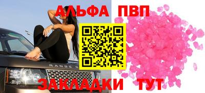 амф Гатчина