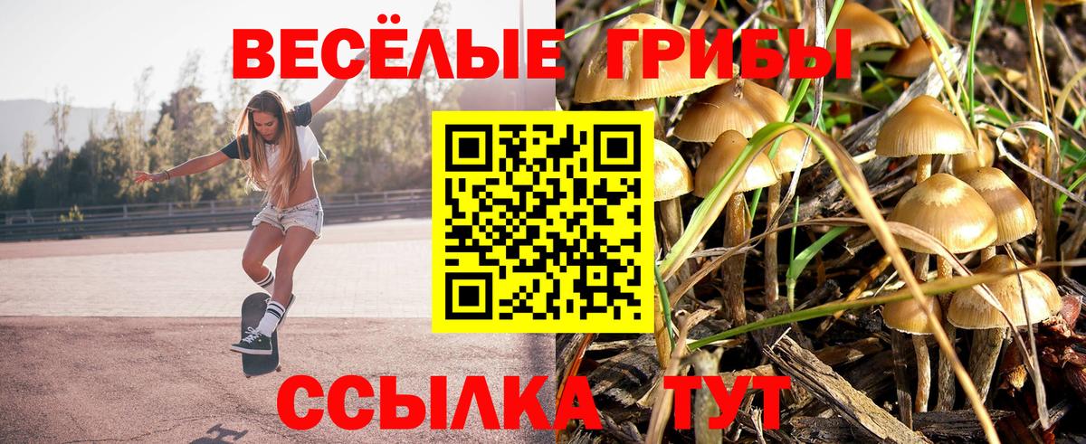 Кинешма  Псилоцибиновые грибы Cubensis  Вход с VPN  Псилоцибиновые грибы Magic Shrooms 